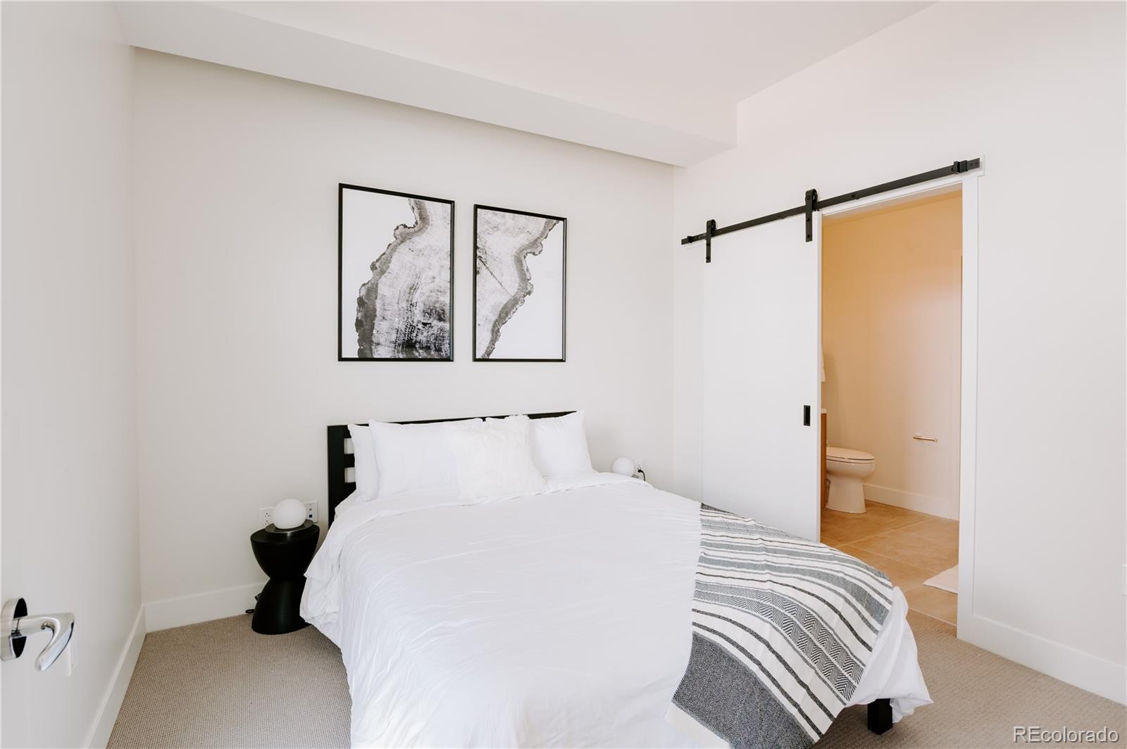 MLS Image #9 for 2880  zuni street,denver, Colorado