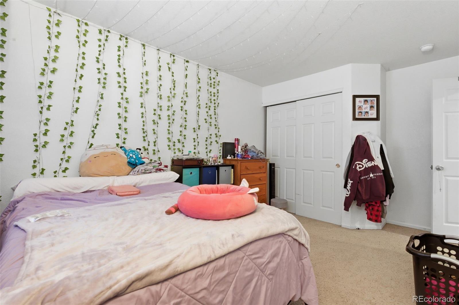 MLS Image #27 for 11165  clayton street,northglenn, Colorado