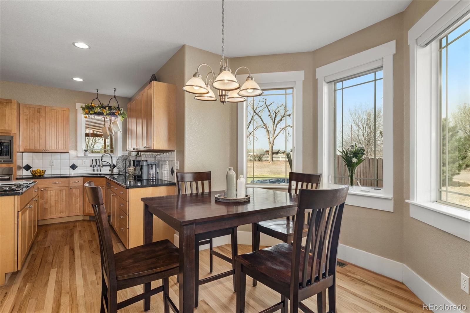 MLS Image #10 for 104  silo court,mead, Colorado