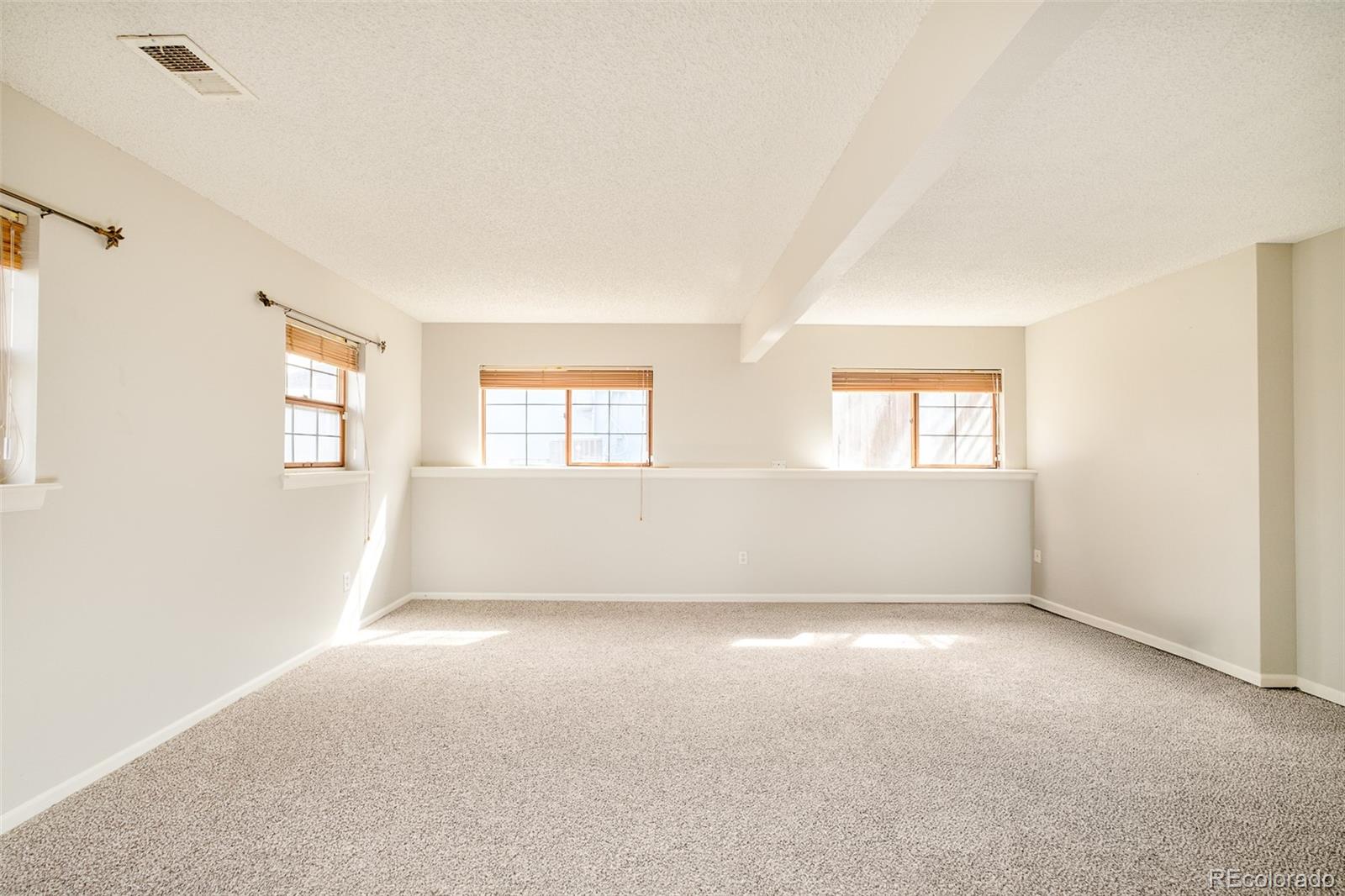 MLS Image #14 for 16655  ninebark way,parker, Colorado