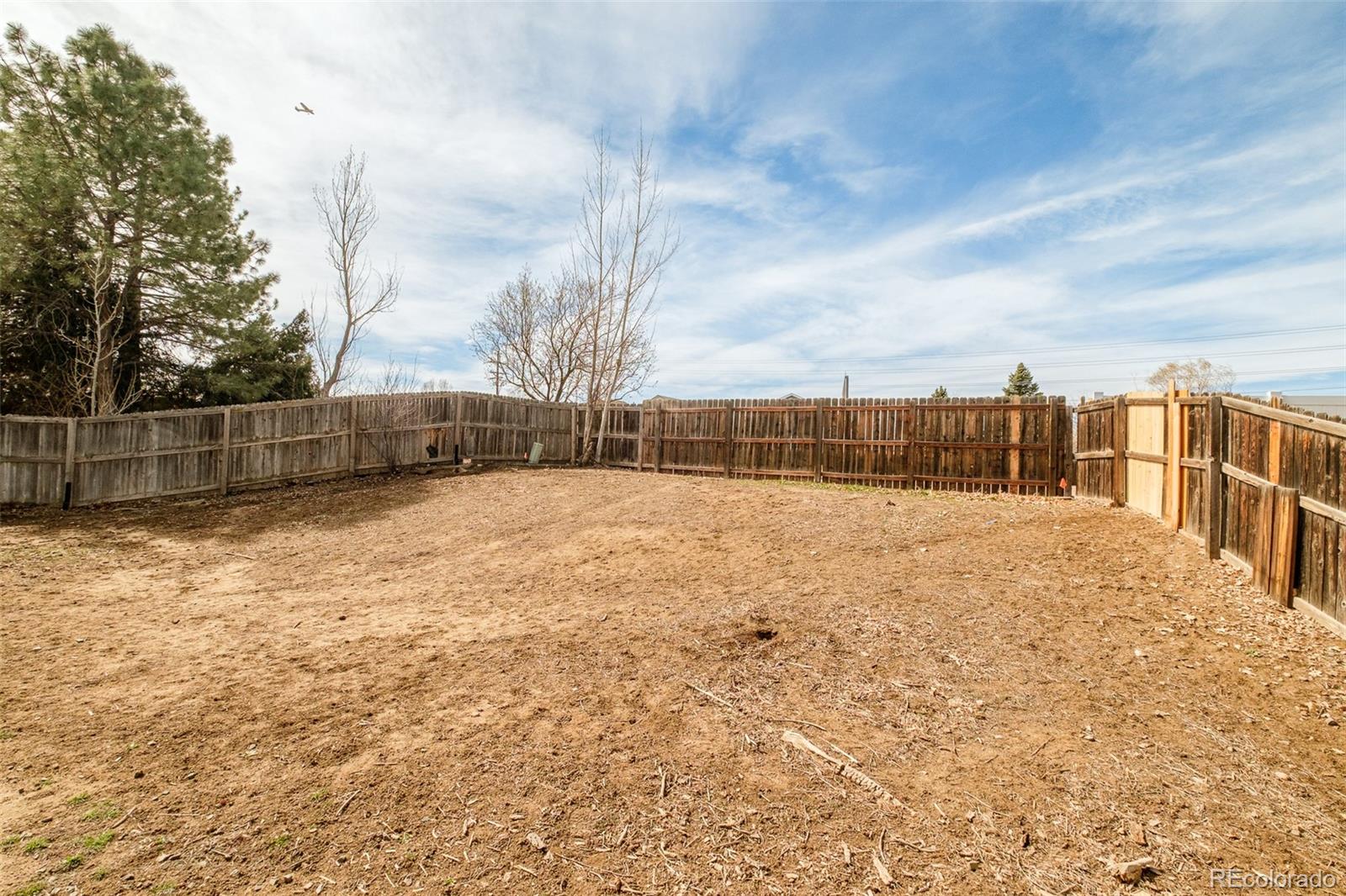 MLS Image #23 for 16655  ninebark way,parker, Colorado