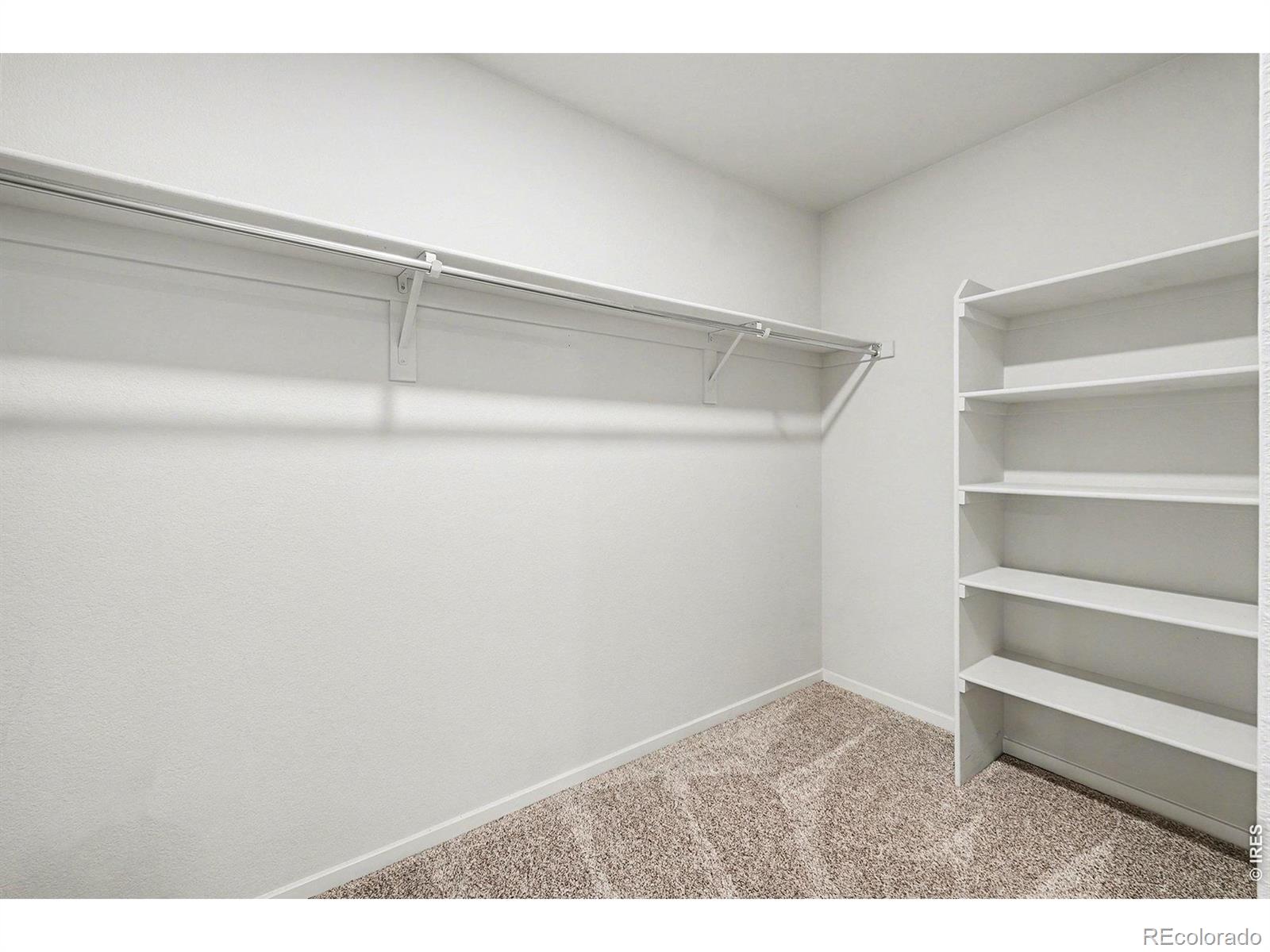 MLS Image #20 for 5721  stone fly drive,timnath, Colorado