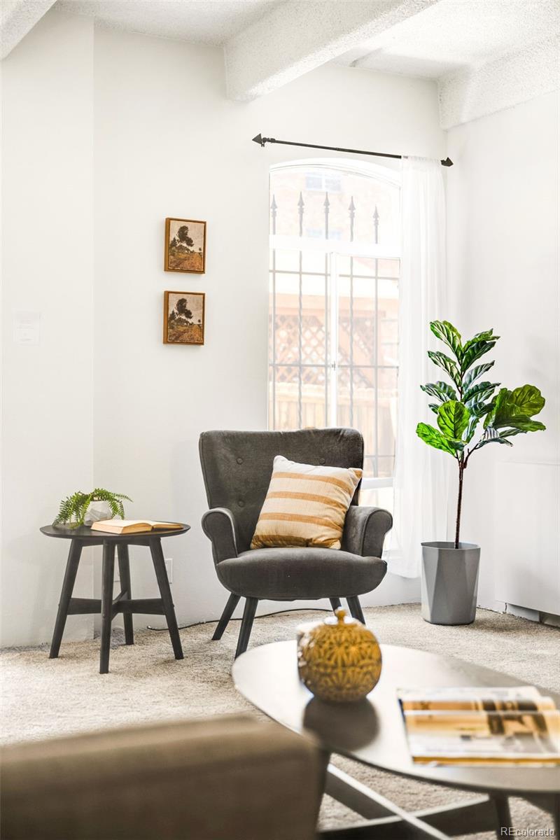 MLS Image #6 for 1365  columbine street 103,denver, Colorado