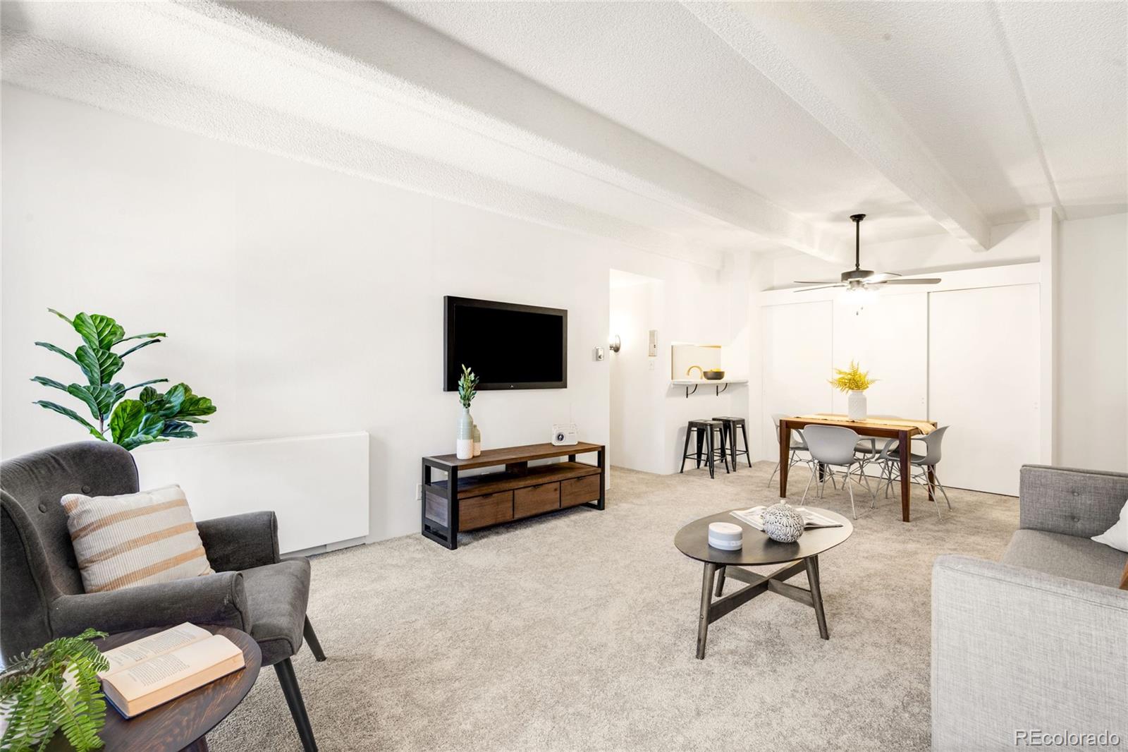 MLS Image #9 for 1365  columbine street 103,denver, Colorado