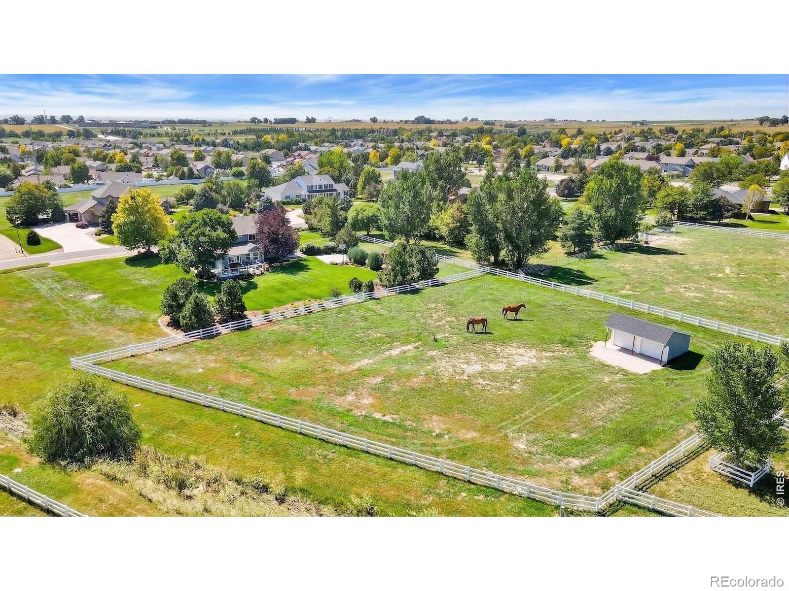 MLS Image #10 for 6345  lesser drive,greeley, Colorado