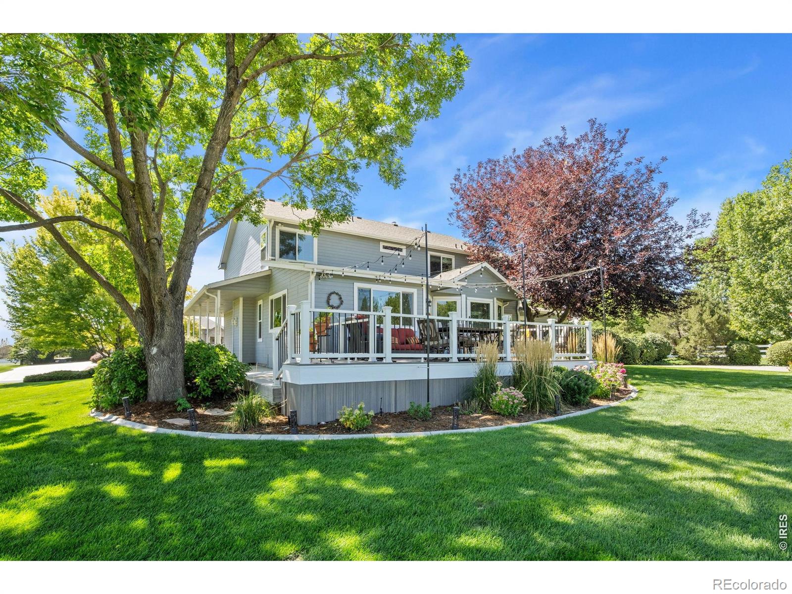 MLS Image #6 for 6345  lesser drive,greeley, Colorado