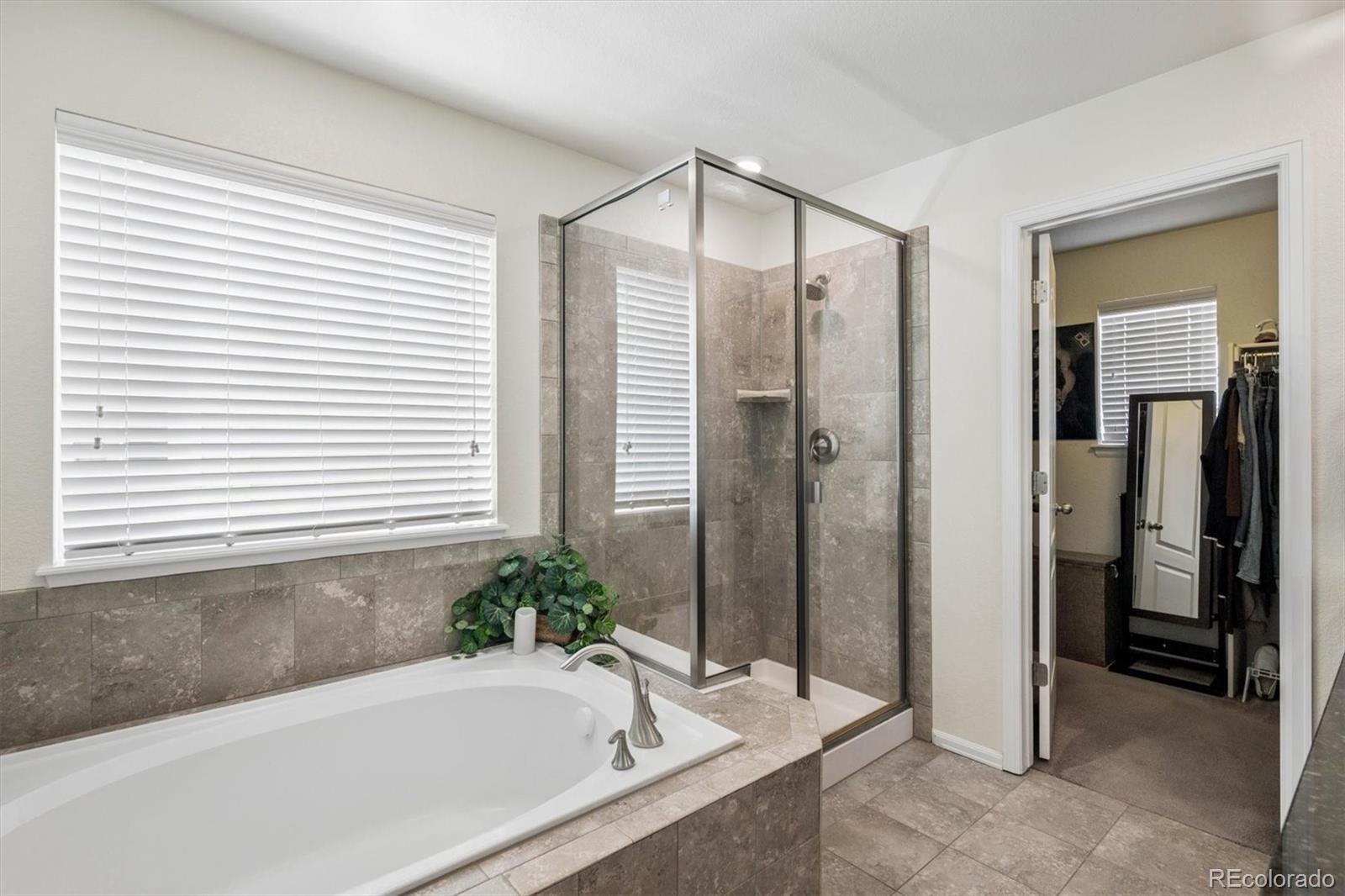 MLS Image #14 for 10476  evansville circle,parker, Colorado