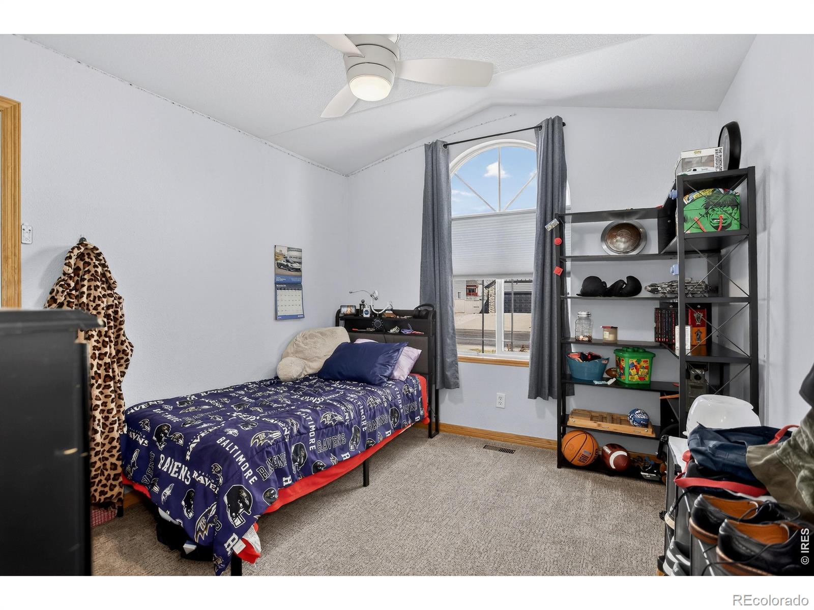 MLS Image #21 for 3387  firewater lane,wellington, Colorado