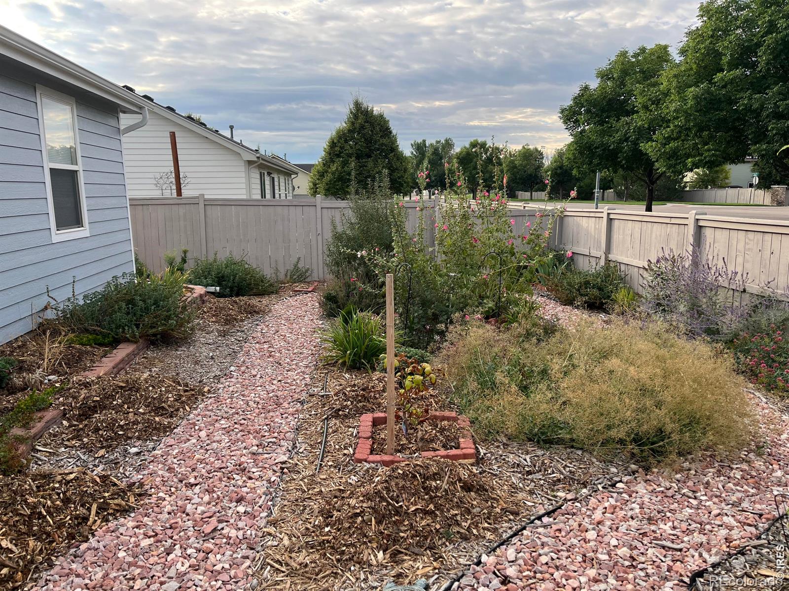 MLS Image #29 for 3387  firewater lane,wellington, Colorado