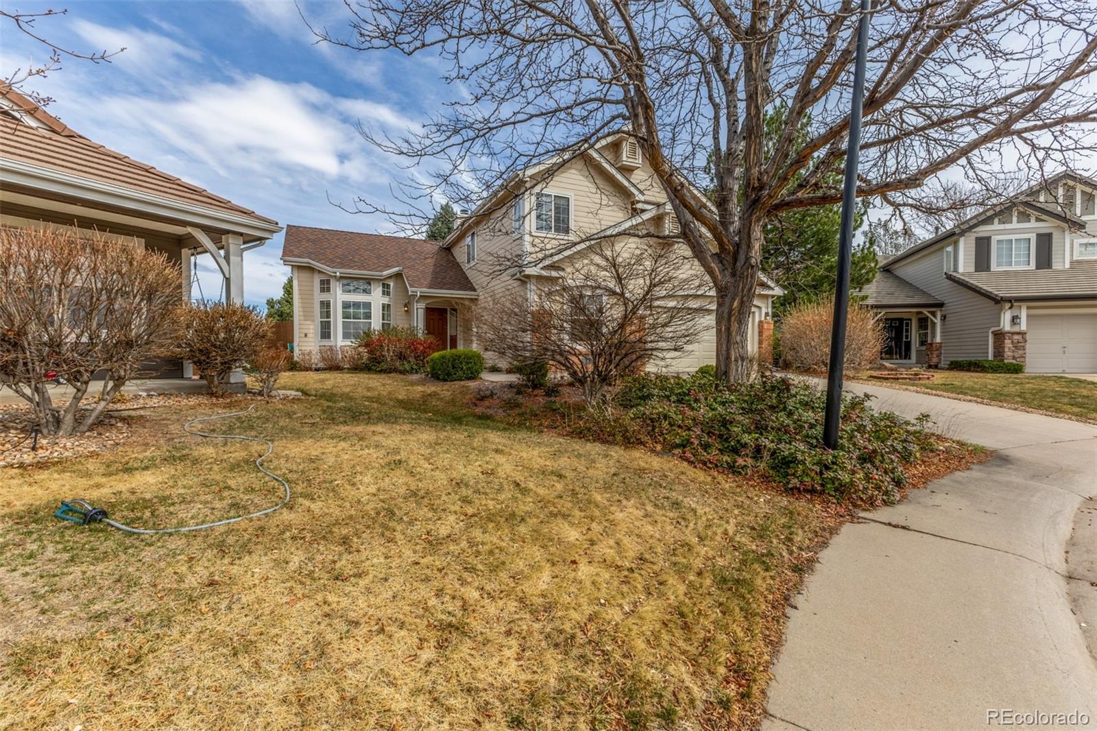 MLS Image #2 for 8825  fairview oaks place,lone tree, Colorado