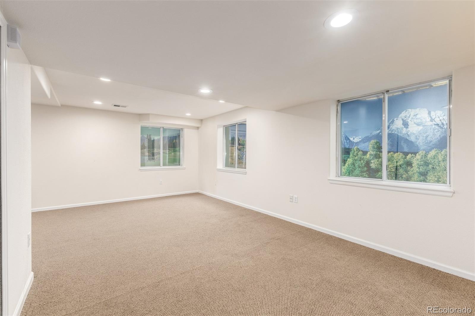 MLS Image #30 for 8825  fairview oaks place,lone tree, Colorado