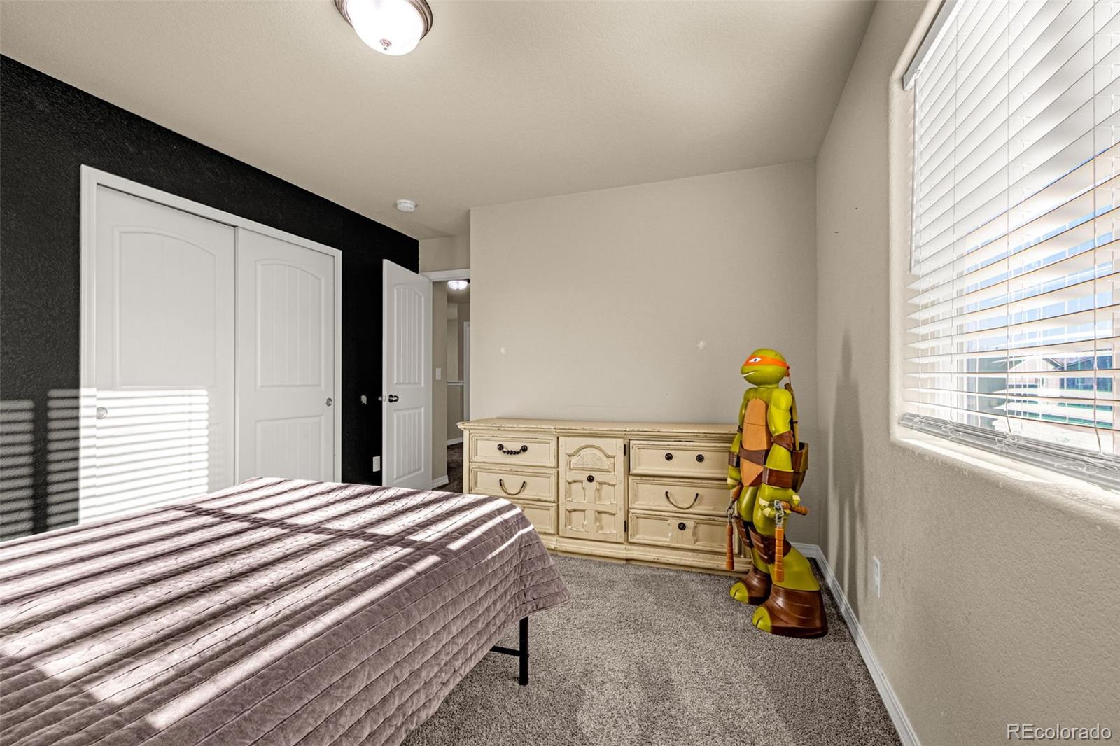 MLS Image #12 for 11005  quercia circle,fountain, Colorado