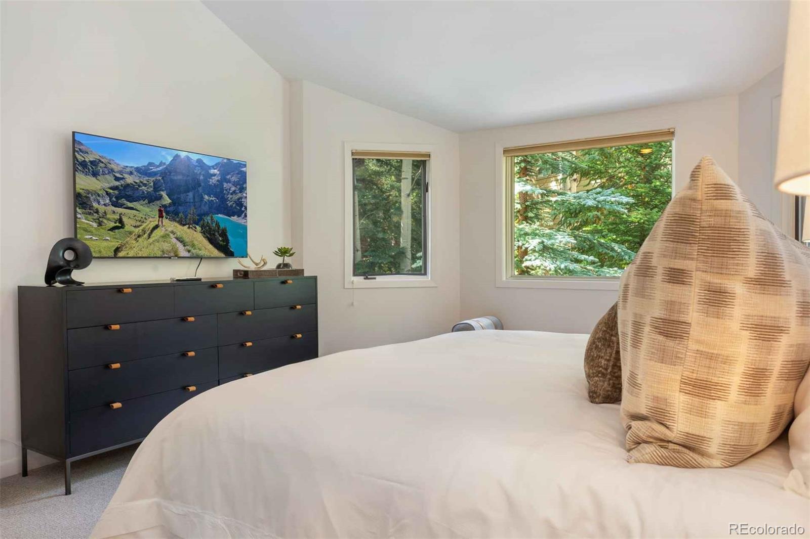 MLS Image #32 for 1592  golf terrace,vail, Colorado