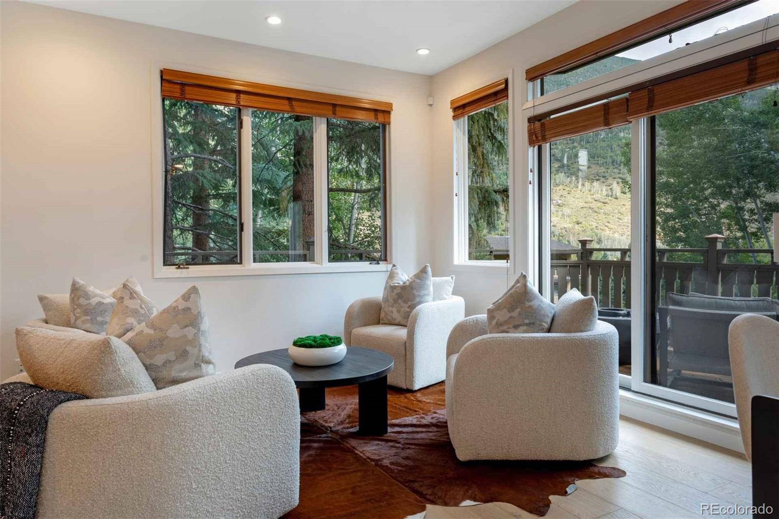 MLS Image #8 for 1592  golf terrace,vail, Colorado
