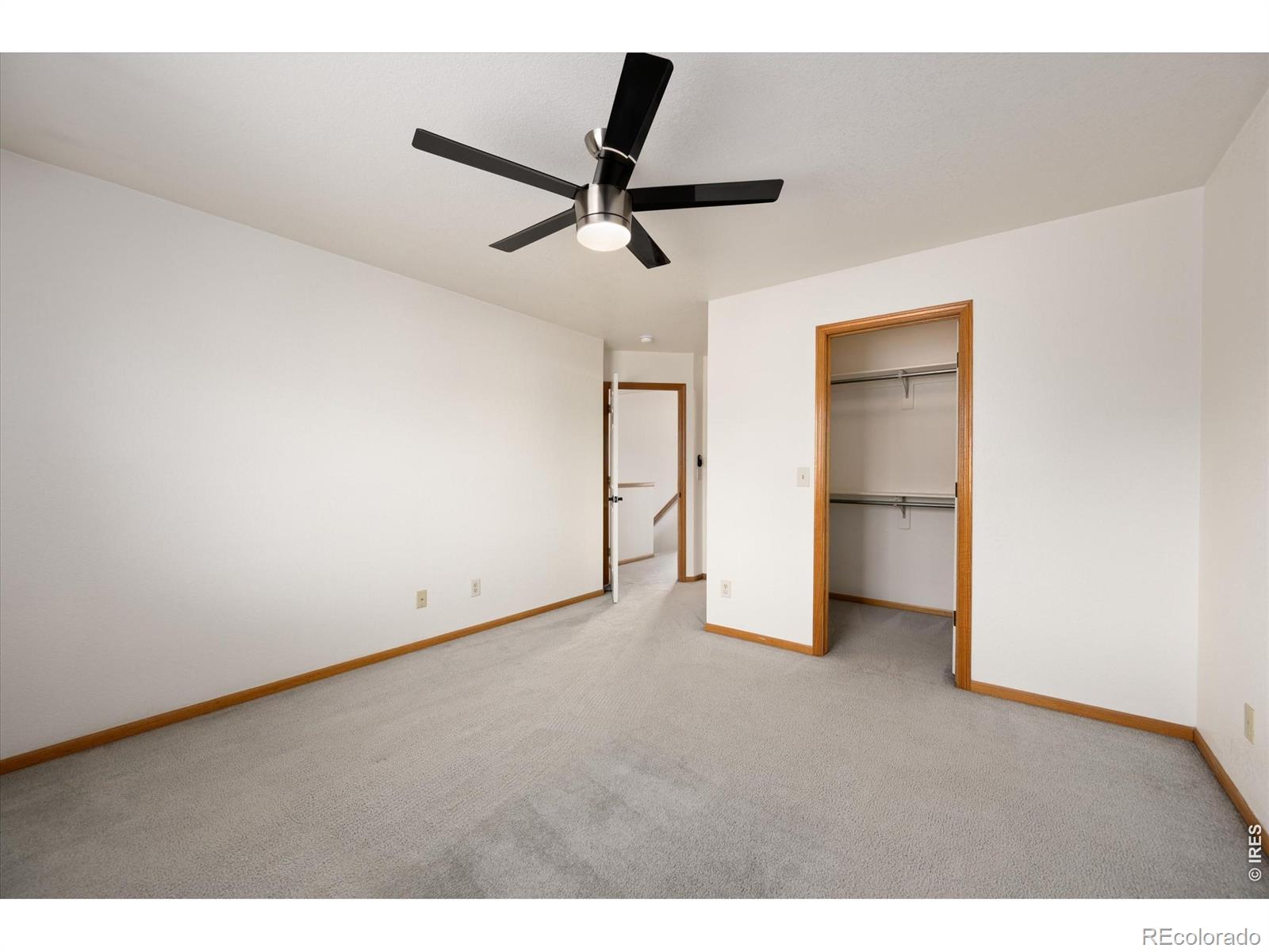 MLS Image #17 for 1464  peacock place,loveland, Colorado