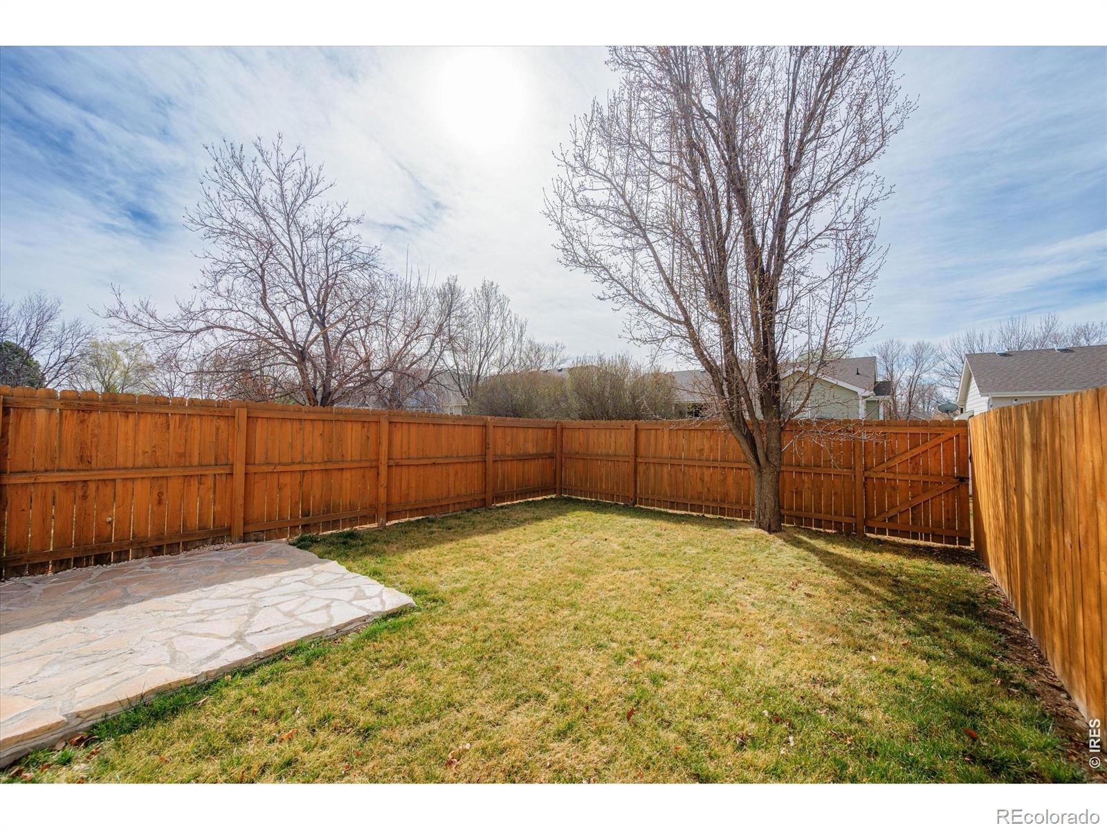 MLS Image #26 for 1464  peacock place,loveland, Colorado