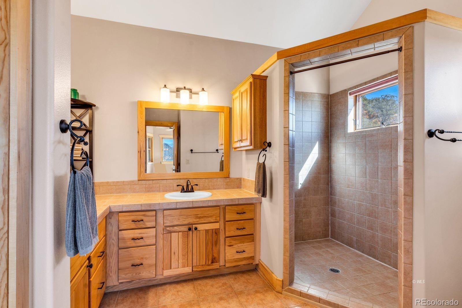 MLS Image #18 for 581  corral ,cotopaxi, Colorado
