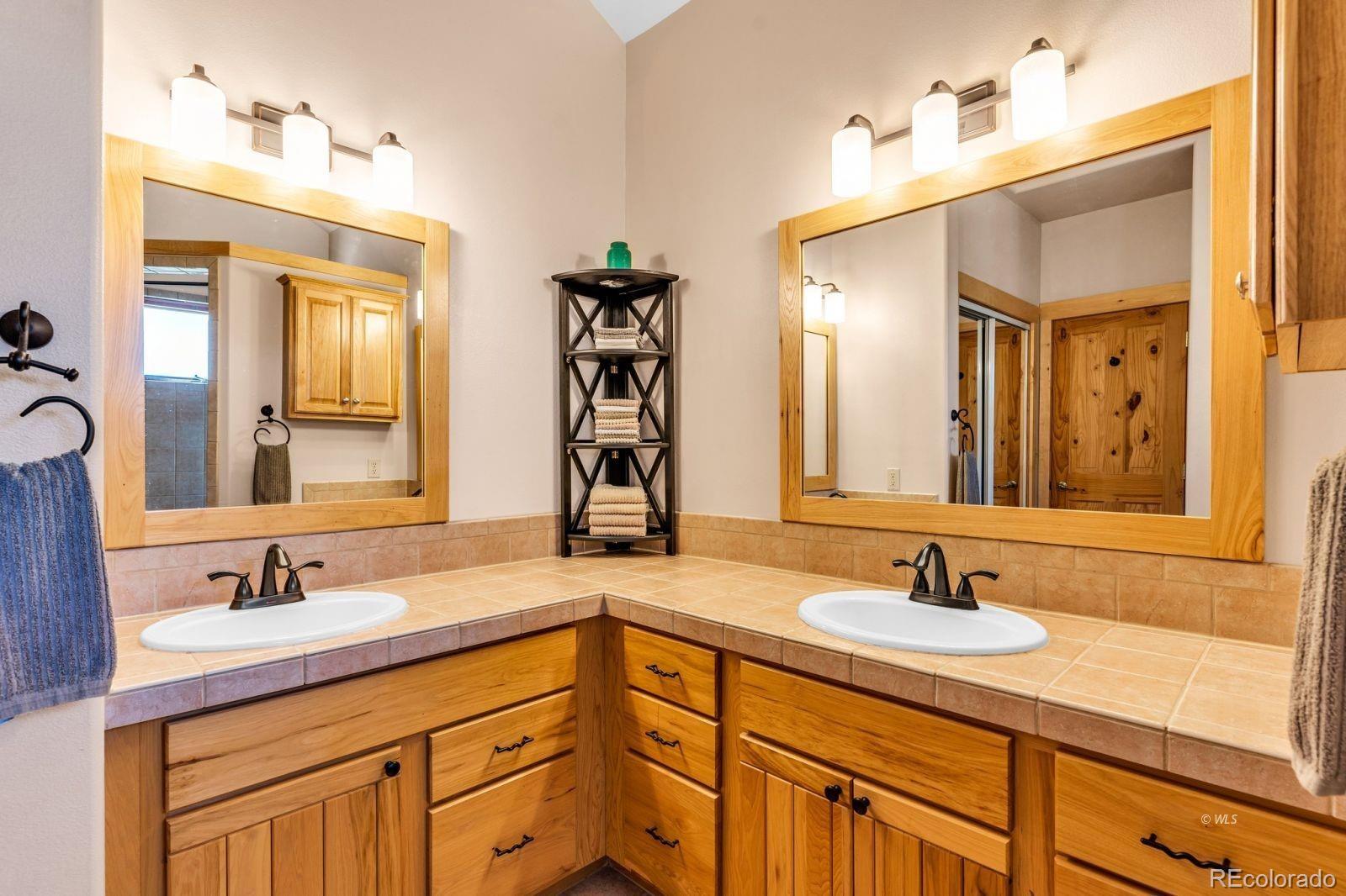 MLS Image #19 for 581  corral ,cotopaxi, Colorado