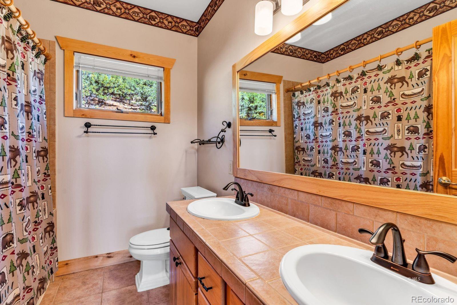 MLS Image #21 for 581  corral ,cotopaxi, Colorado