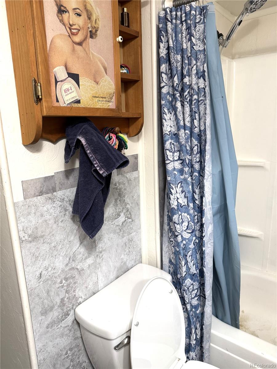 MLS Image #12 for 910  j street,salida, Colorado