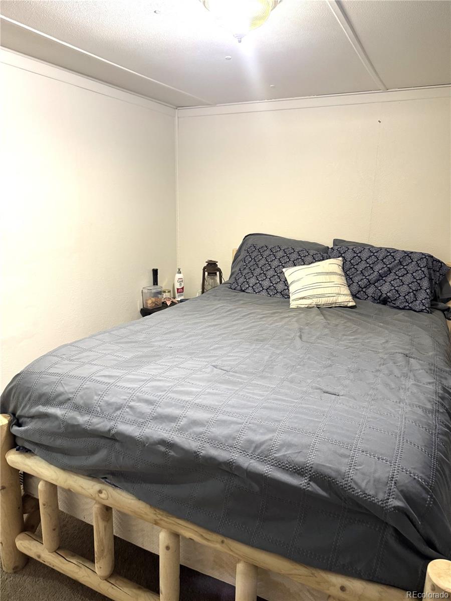 MLS Image #13 for 910  j street,salida, Colorado