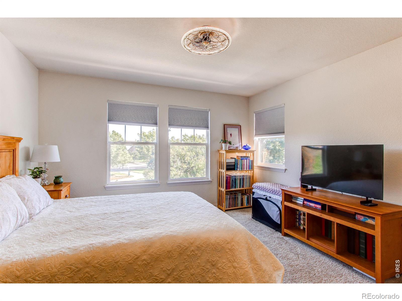 MLS Image #18 for 13900  lake song lane,broomfield, Colorado