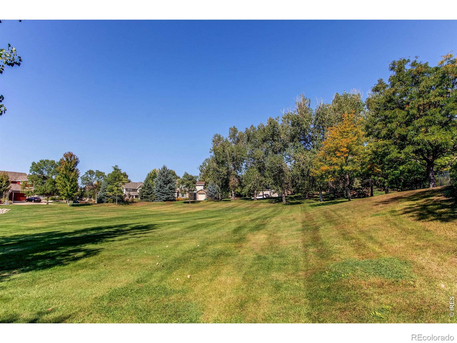 MLS Image #33 for 13900  lake song lane,broomfield, Colorado