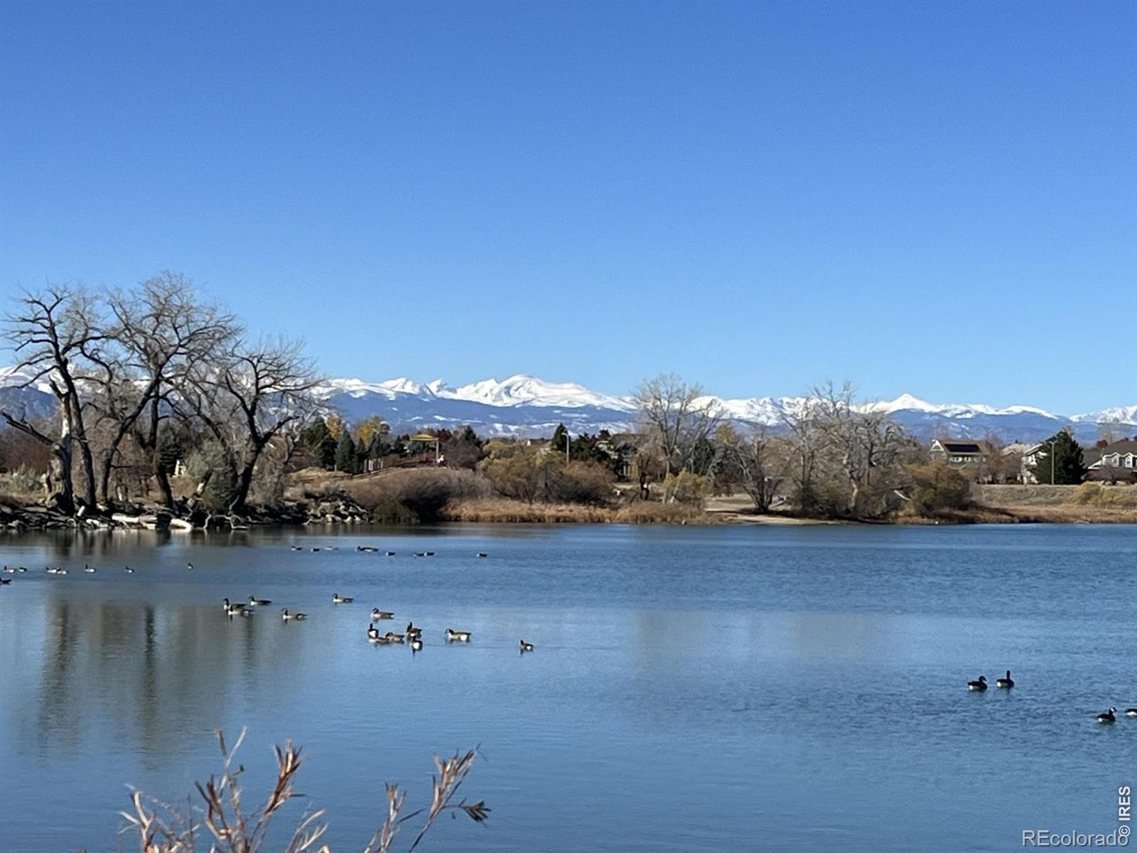 MLS Image #36 for 13900  lake song lane,broomfield, Colorado