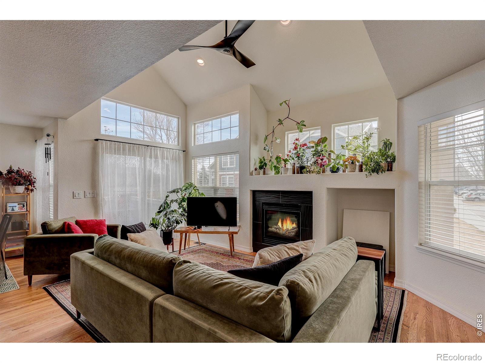 MLS Image #5 for 13900  lake song lane,broomfield, Colorado