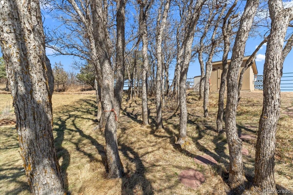 MLS Image #31 for 847  coronado drive,sedalia, Colorado