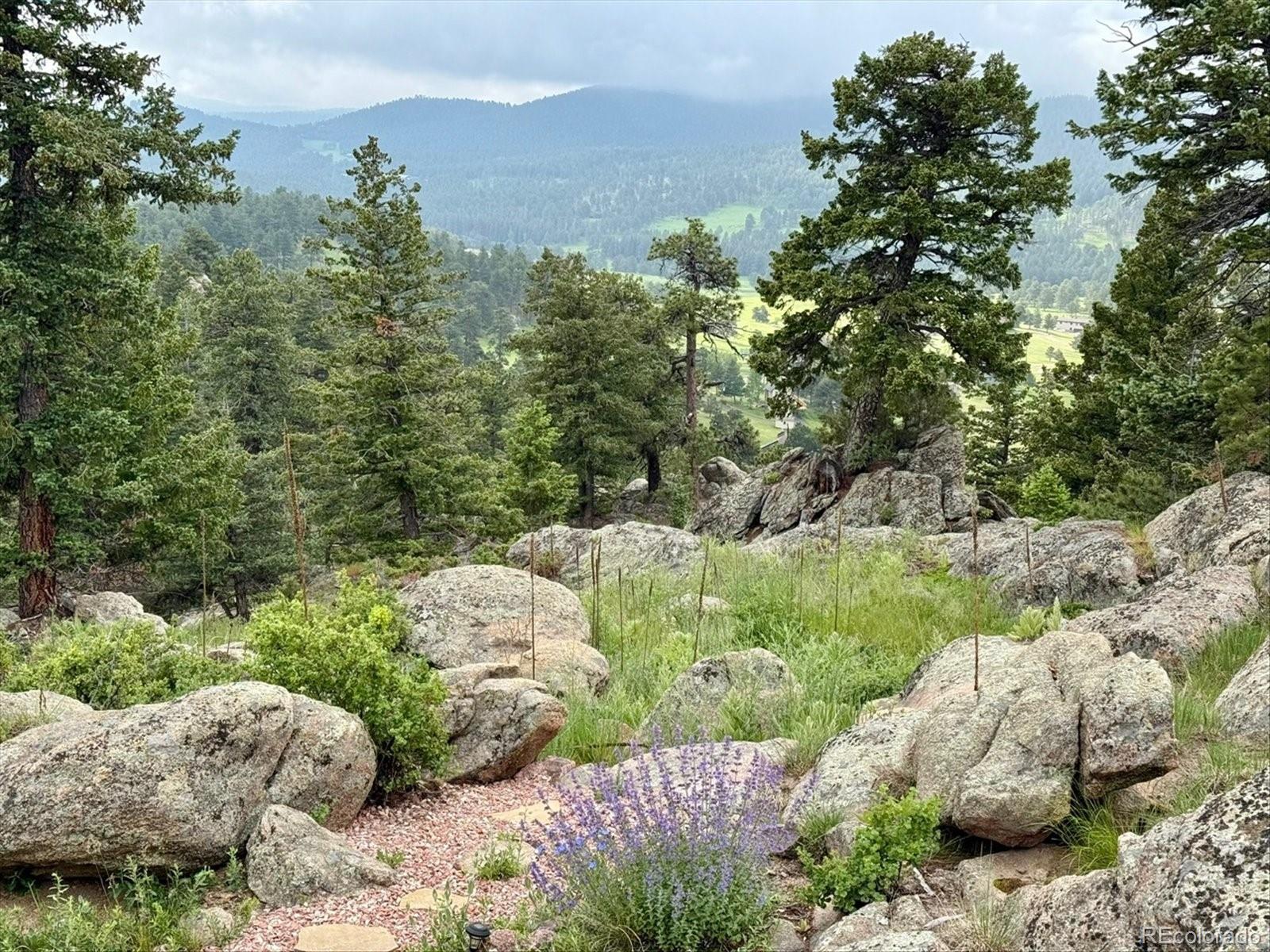 MLS Image #3 for 6516  vesuvius road,evergreen, Colorado