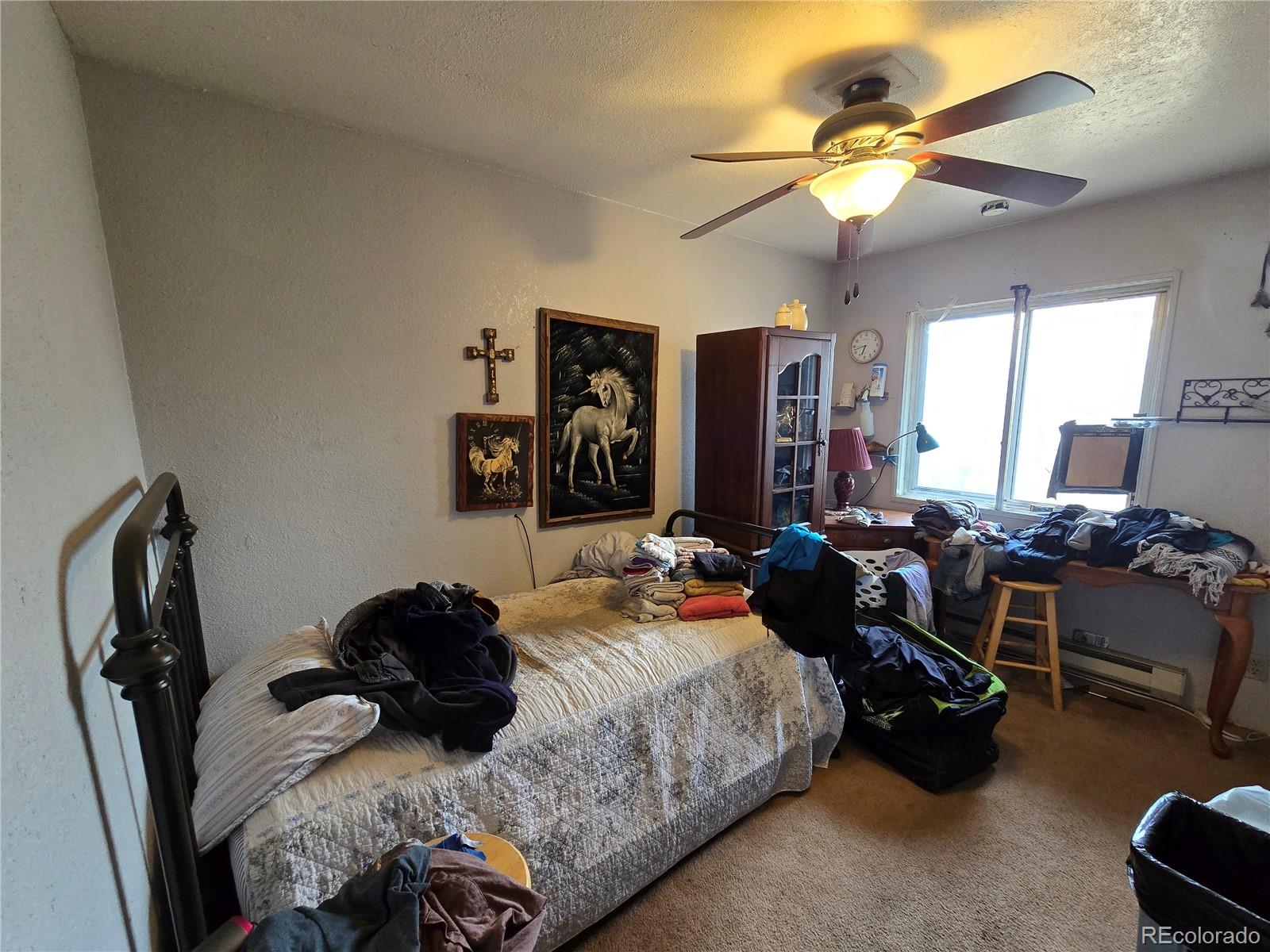 MLS Image #11 for 855  will stutley drive,divide, Colorado