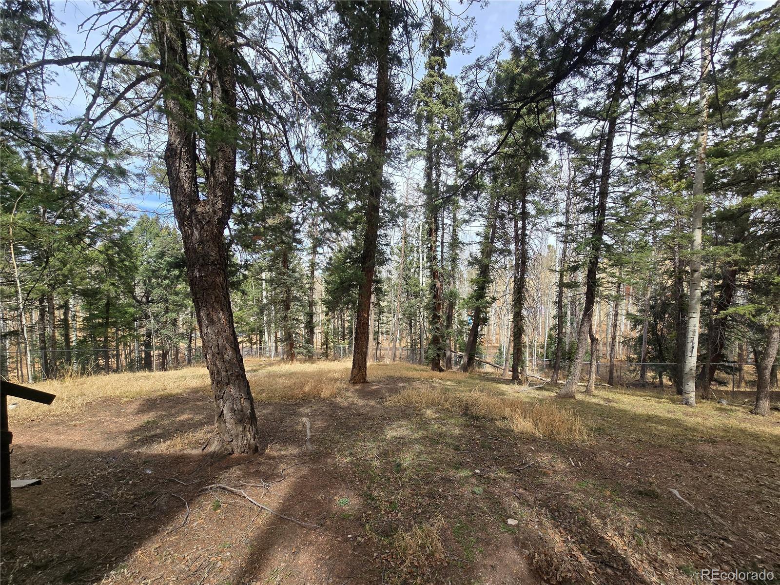 MLS Image #5 for 855  will stutley drive,divide, Colorado