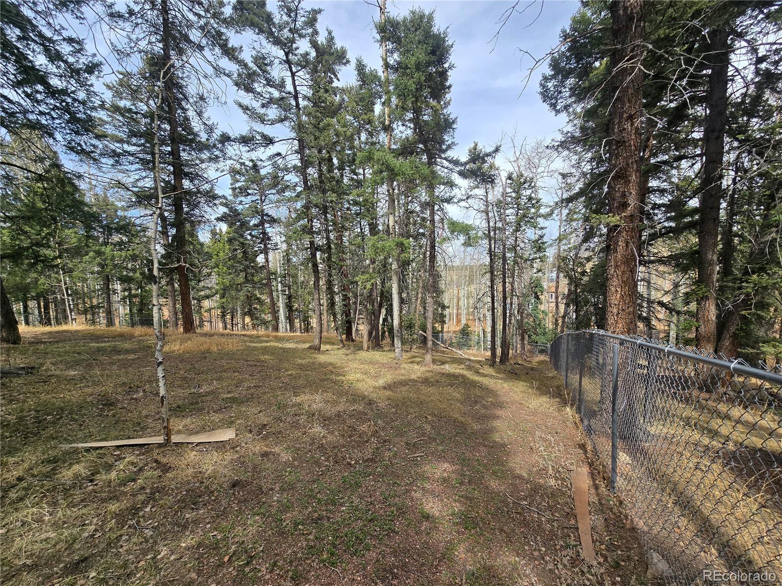 MLS Image #6 for 855  will stutley drive,divide, Colorado