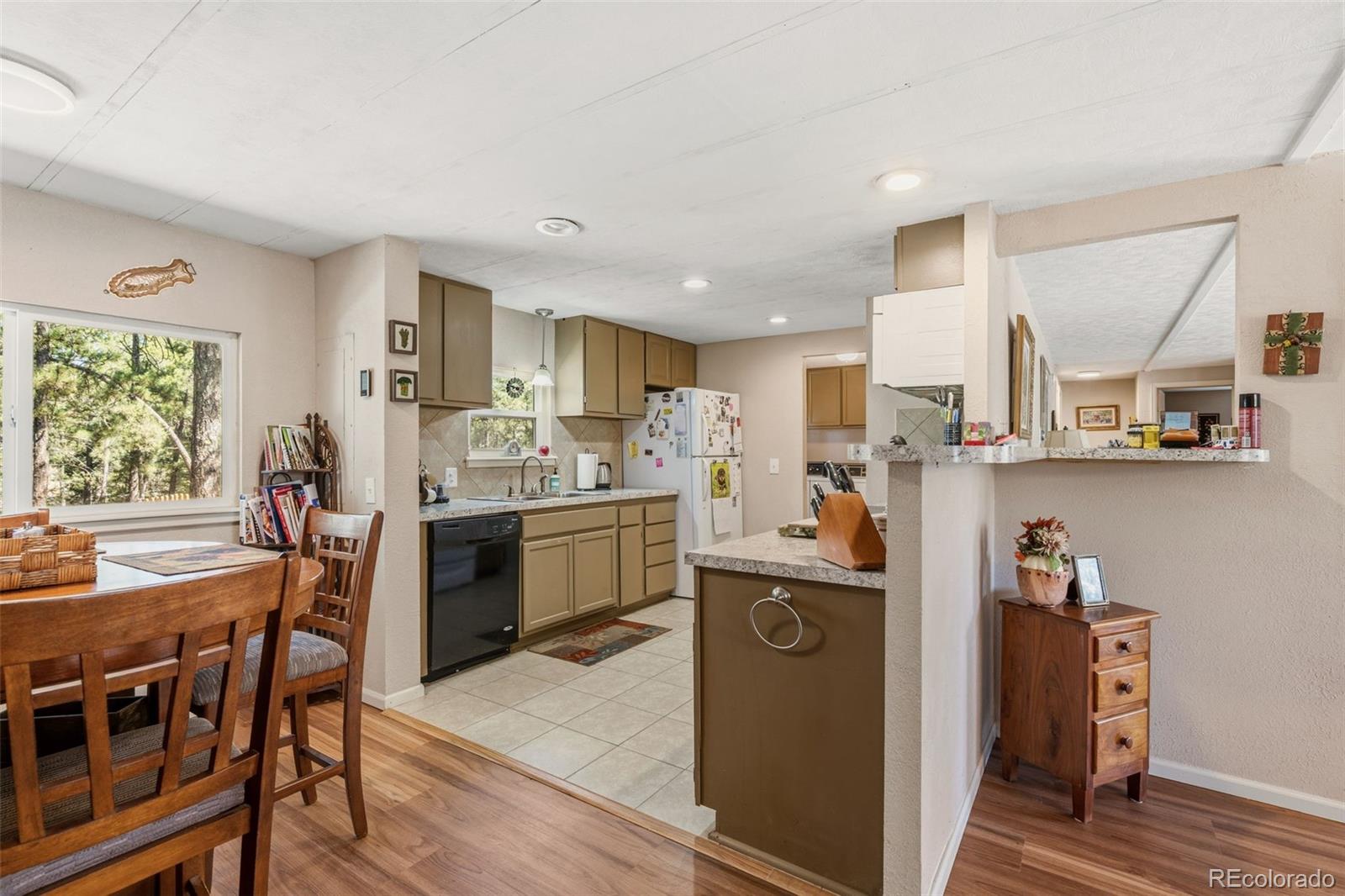 MLS Image #10 for 1299  pikes peak drive,florissant, Colorado