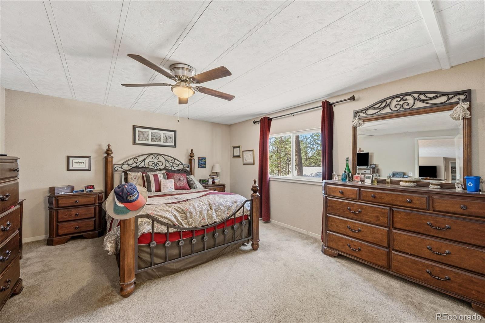 MLS Image #13 for 1299  pikes peak drive,florissant, Colorado