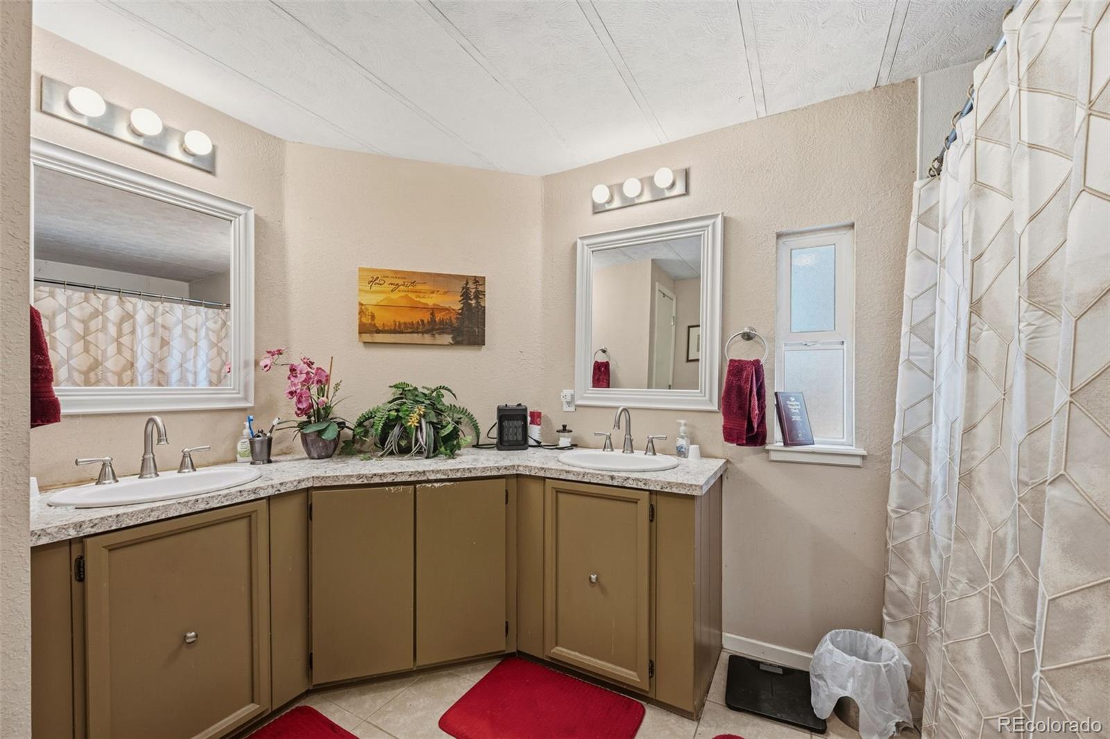 MLS Image #15 for 1299  pikes peak drive,florissant, Colorado