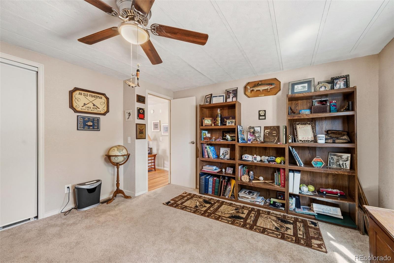MLS Image #17 for 1299  pikes peak drive,florissant, Colorado