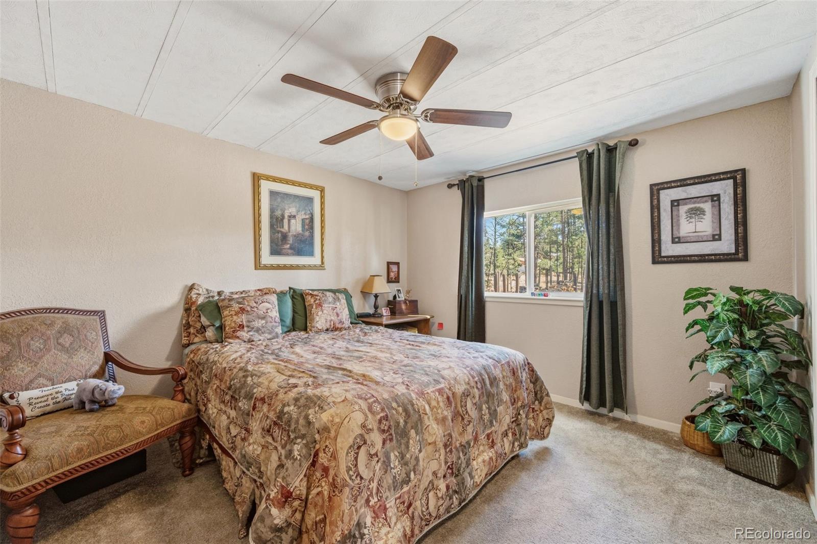 MLS Image #18 for 1299  pikes peak drive,florissant, Colorado