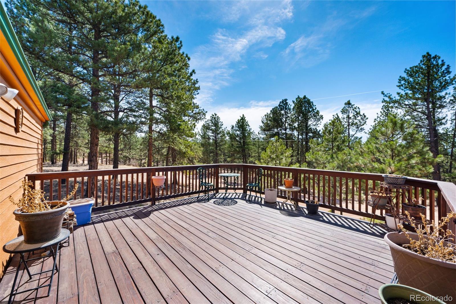 MLS Image #2 for 1299  pikes peak drive,florissant, Colorado
