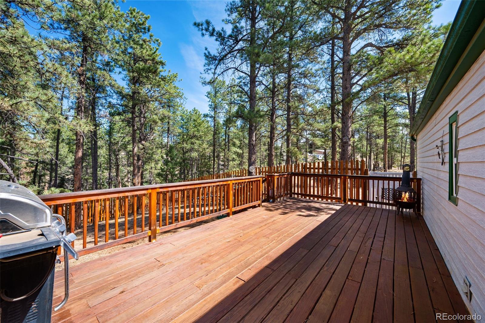 MLS Image #21 for 1299  pikes peak drive,florissant, Colorado