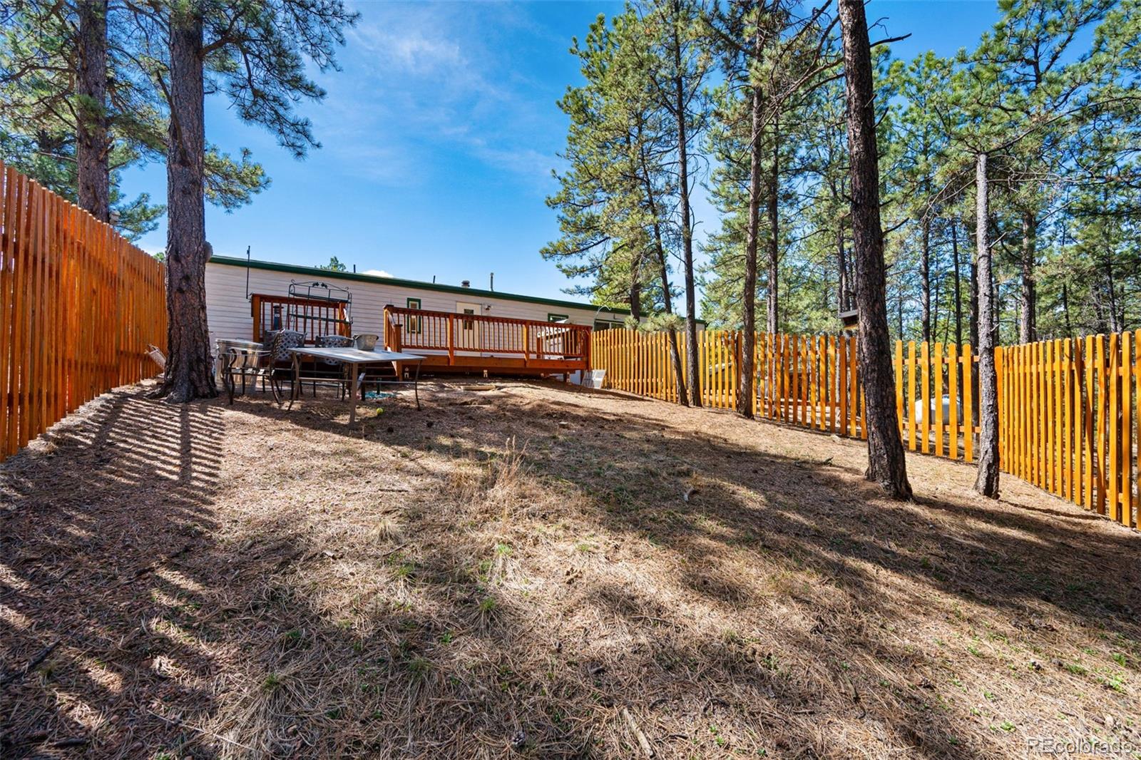 MLS Image #22 for 1299  pikes peak drive,florissant, Colorado