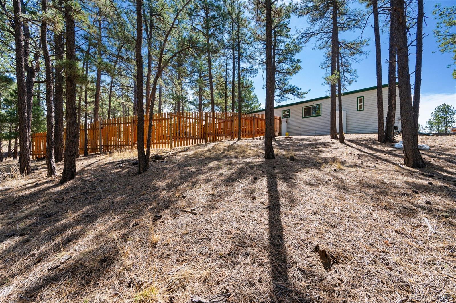MLS Image #23 for 1299  pikes peak drive,florissant, Colorado