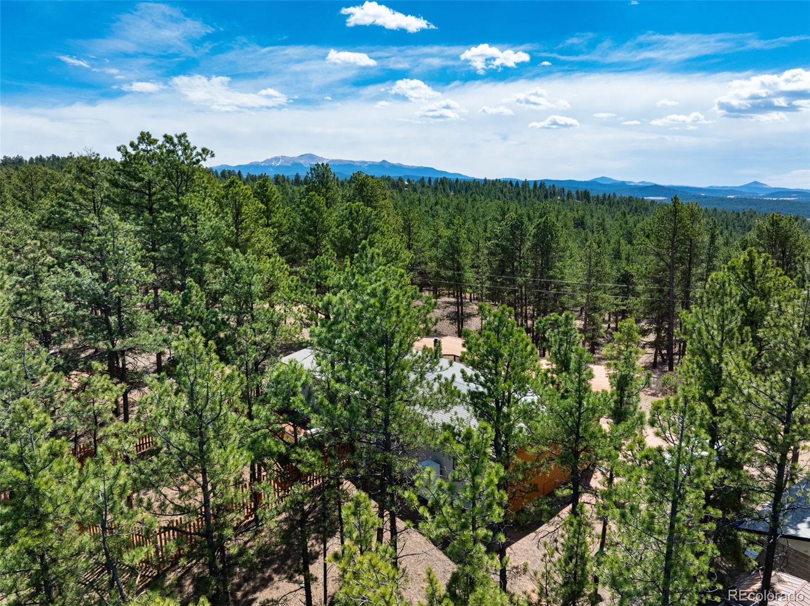 MLS Image #27 for 1299  pikes peak drive,florissant, Colorado