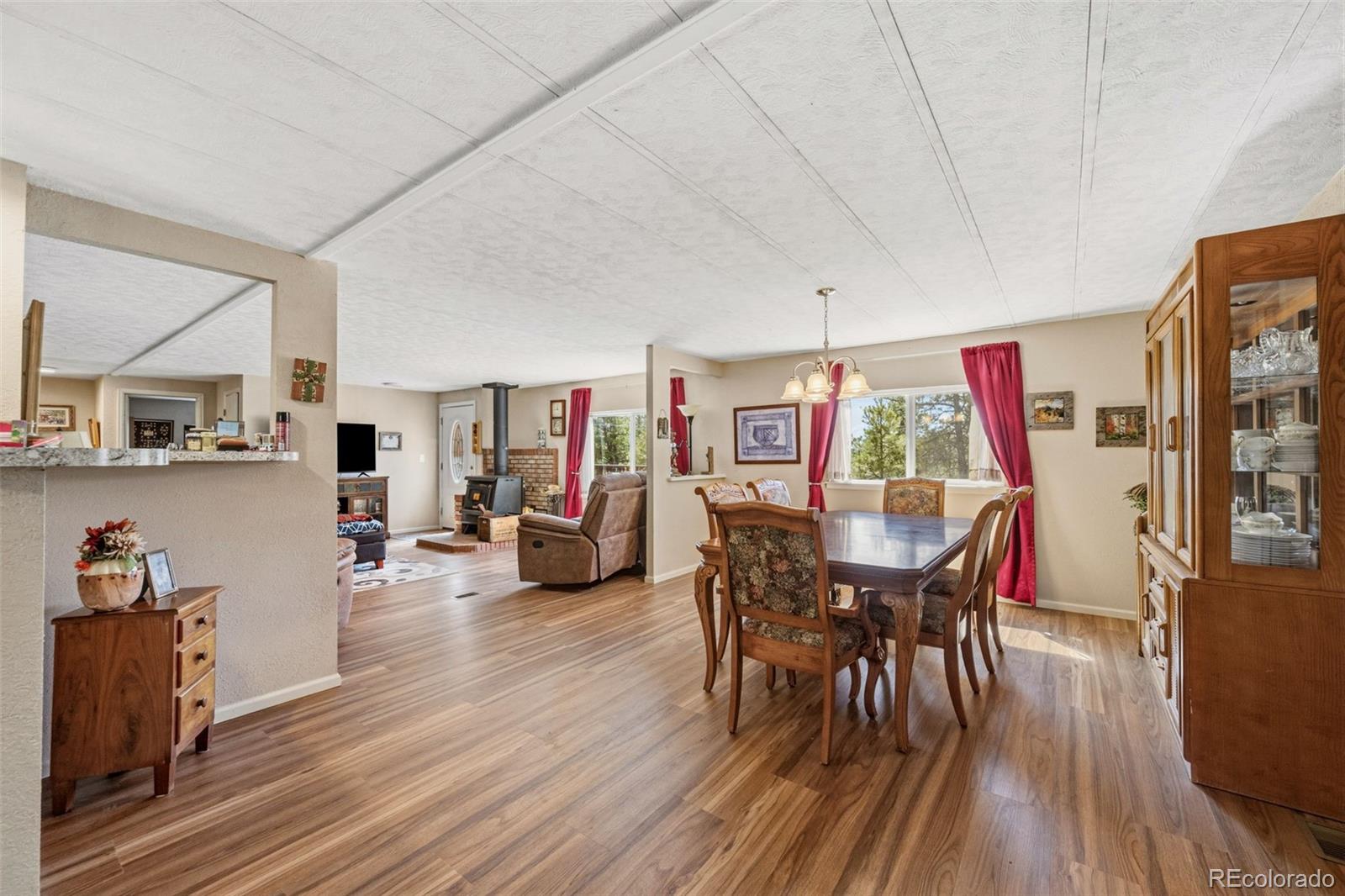 MLS Image #9 for 1299  pikes peak drive,florissant, Colorado