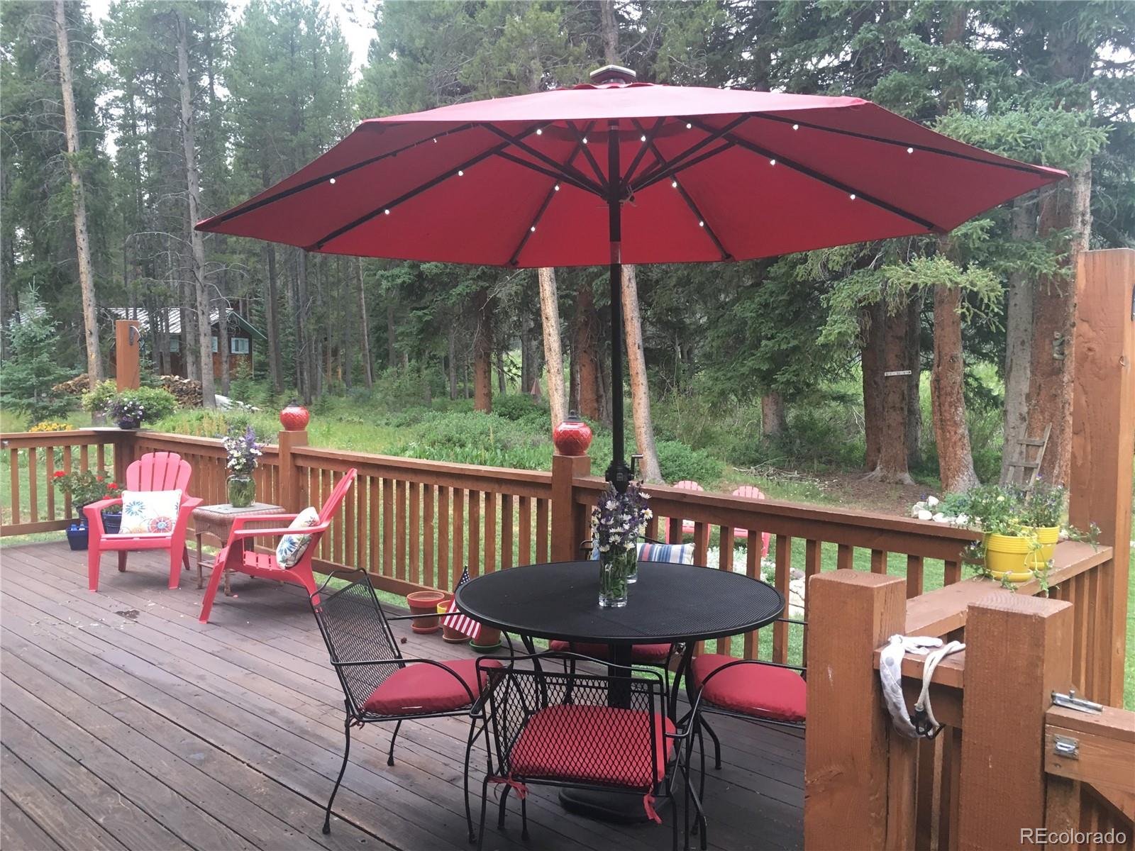 MLS Image #1 for 353  blue river road,breckenridge, Colorado