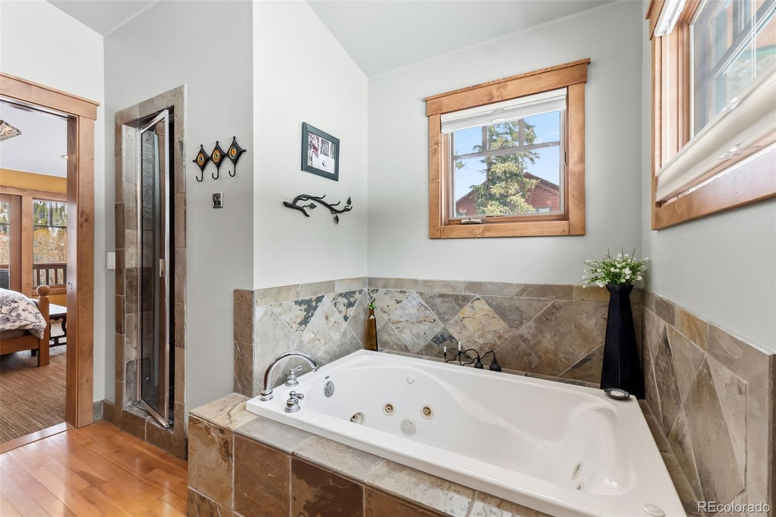 MLS Image #25 for 353  blue river road,breckenridge, Colorado
