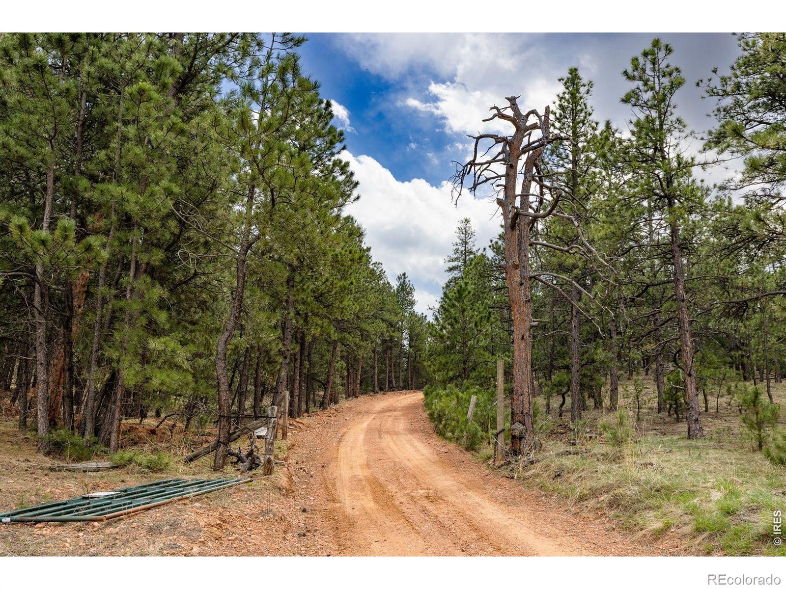 MLS Image #4 for 1312  steamboat valley road,lyons, Colorado