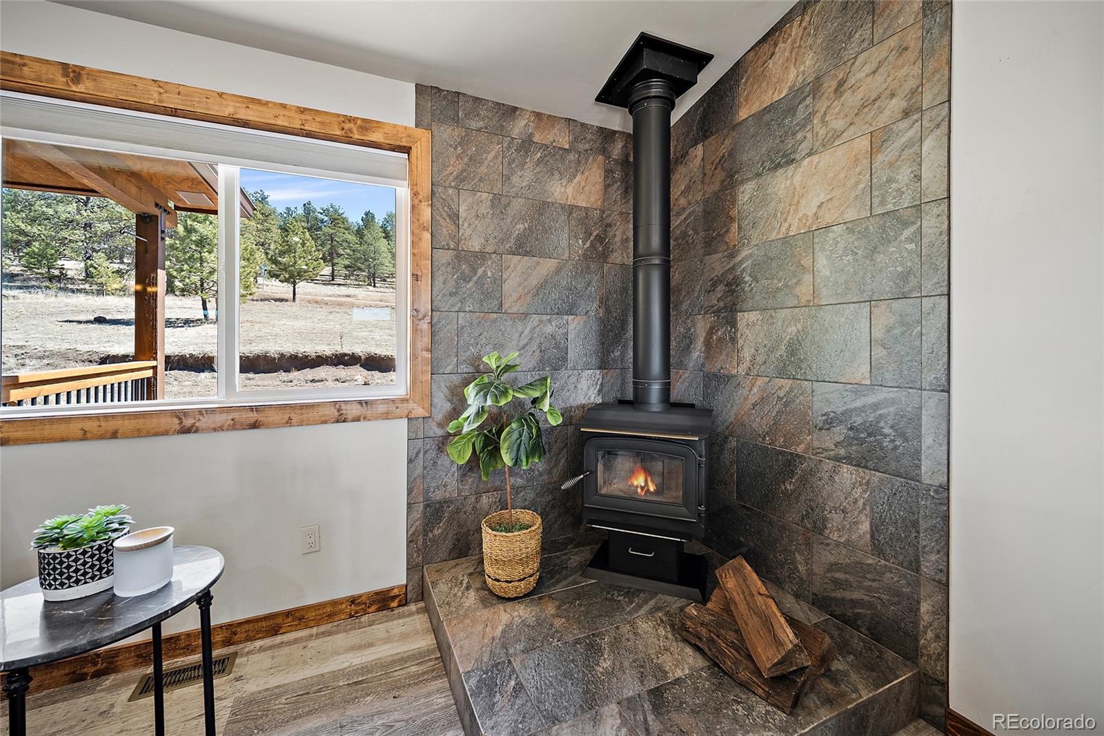 MLS Image #10 for 186  empire road,florissant, Colorado