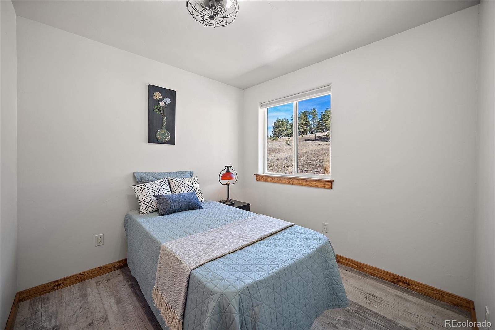 MLS Image #18 for 186  empire road,florissant, Colorado